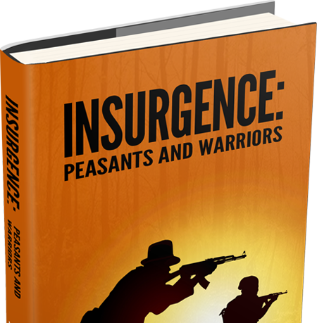 Insurgence: Peasants and Warriors